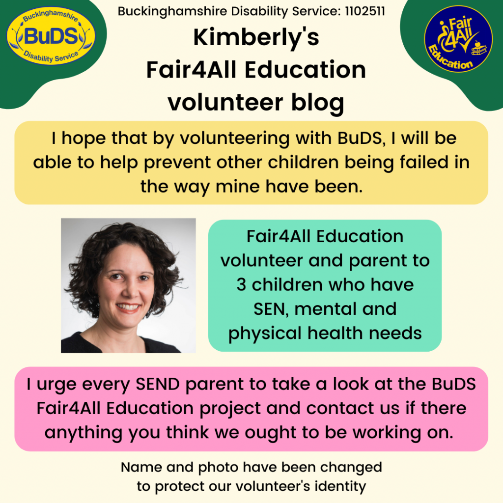 I hope that by volunteering with BuDS, I will be able to help prevent other children being failed in the way mine have been.
I urge every SEND parent to take a look at the BuDS Fair4All Education project and contact us if there anything you think we ought to be working on.