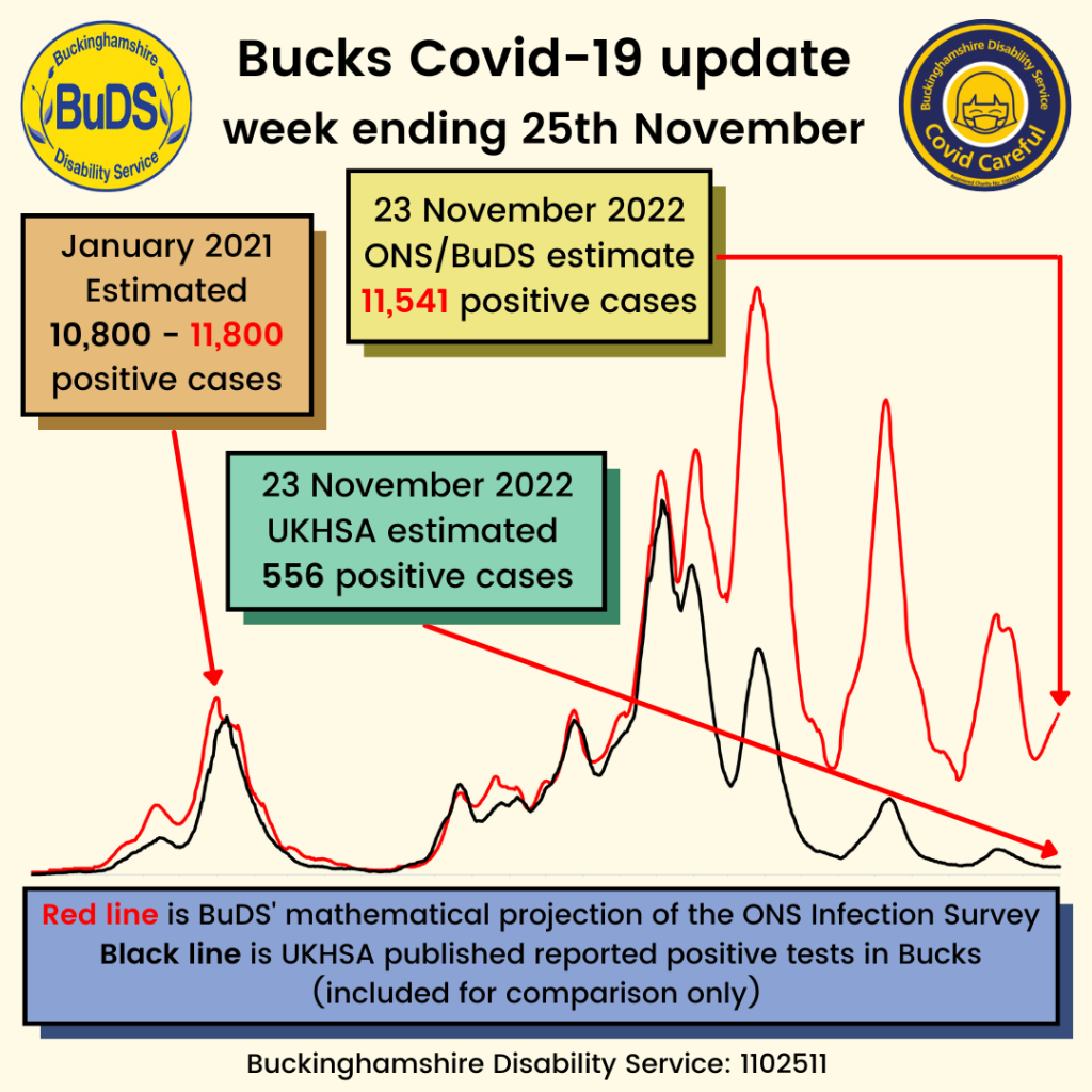 A graph showing positive Covid cases. BuDS/ONS estimated 11,541 cases on 30 November. UKHSA estimated 556 cases on 30 November.